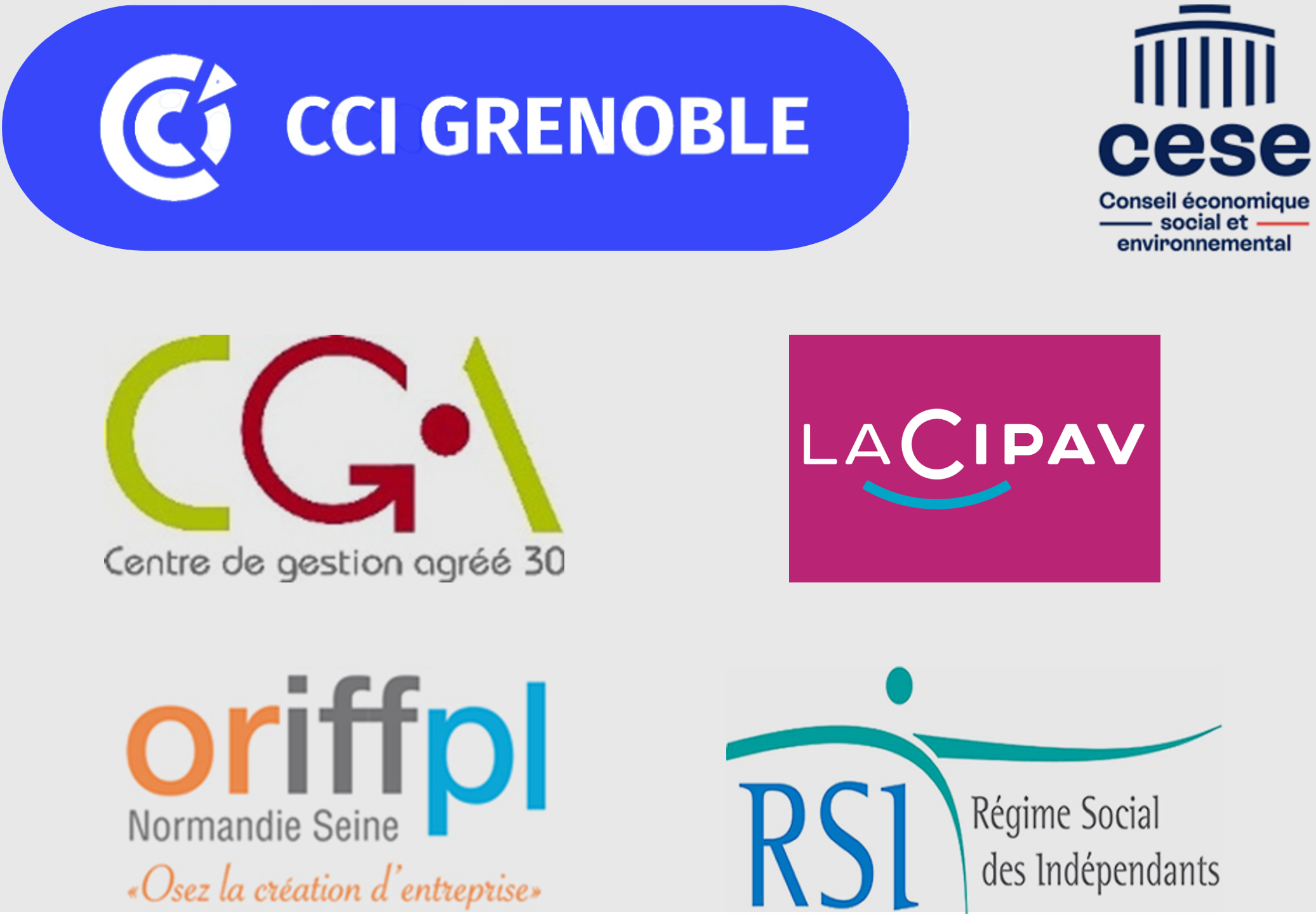 clients_intitutionnels_cabinet_rapelli